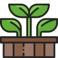 raised-bed