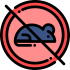 rats